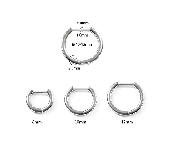 Titanium D-Shaped Hoop Earrings Artful Values